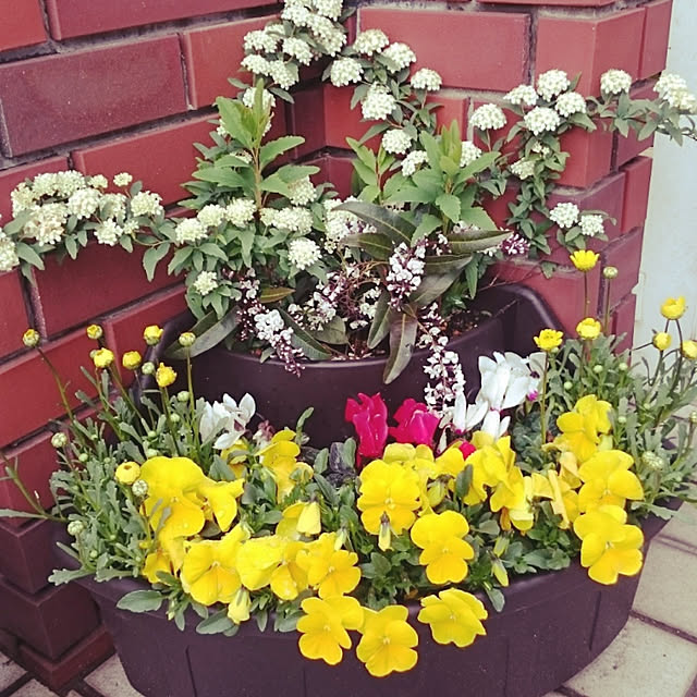 lovery634_rさんの実例写真