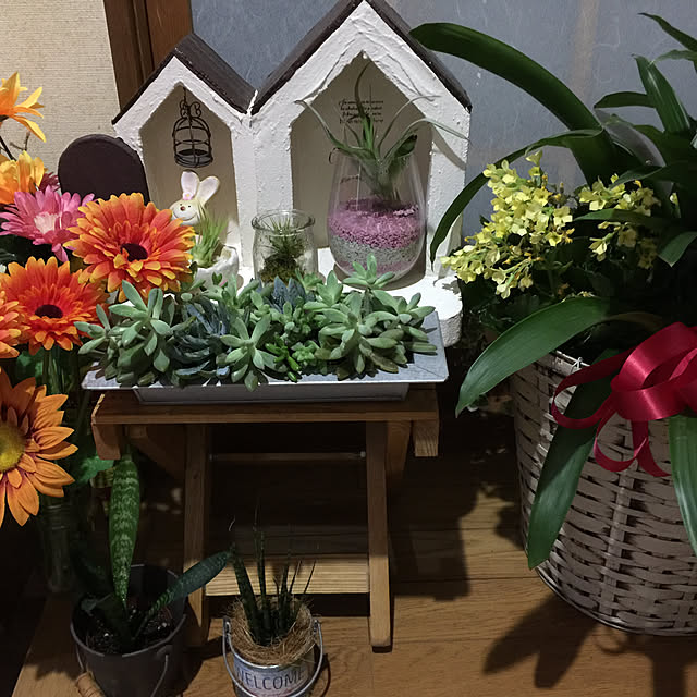 玄関/入り口/多肉植物のインテリア実例 - 2017-09-28 17:46:31