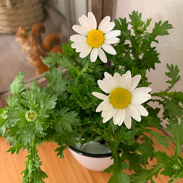 花と暮らす/花大好き/花のある風景/花のある生活/花のある暮らし...などのインテリア実例 - 2020-04-15 14:03:29