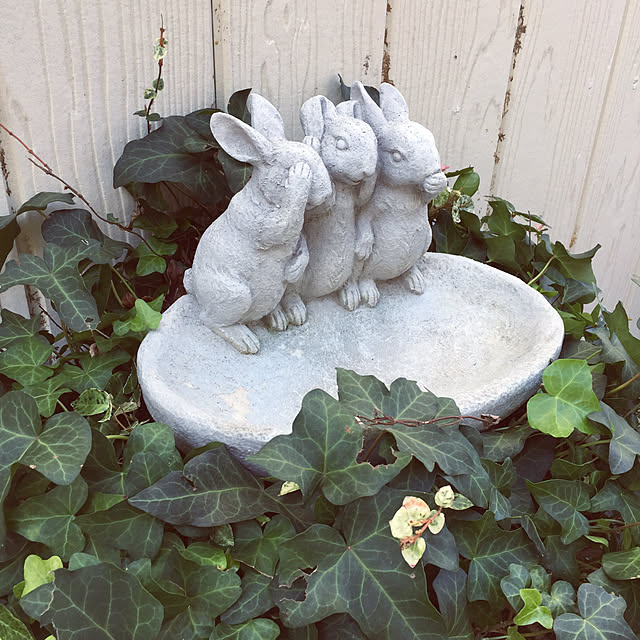 ivoryさんの実例写真