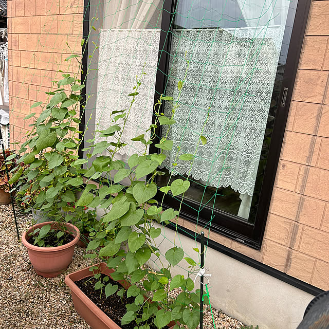 ritsukoさんの実例写真