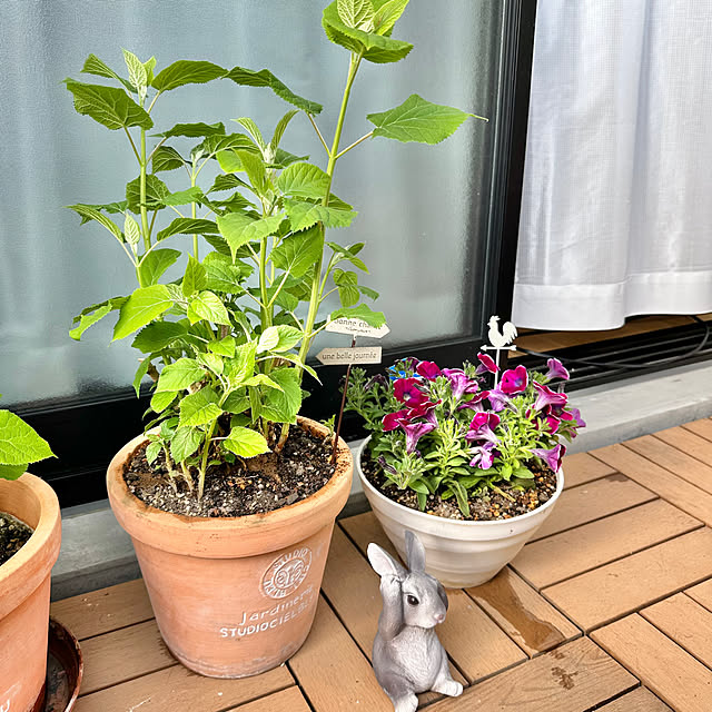 miyumiyuさんの実例写真