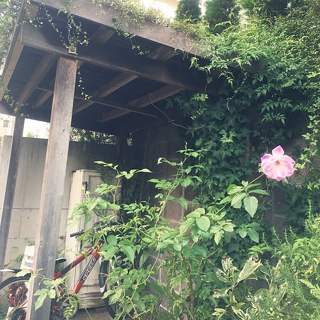 aniseさんの実例写真