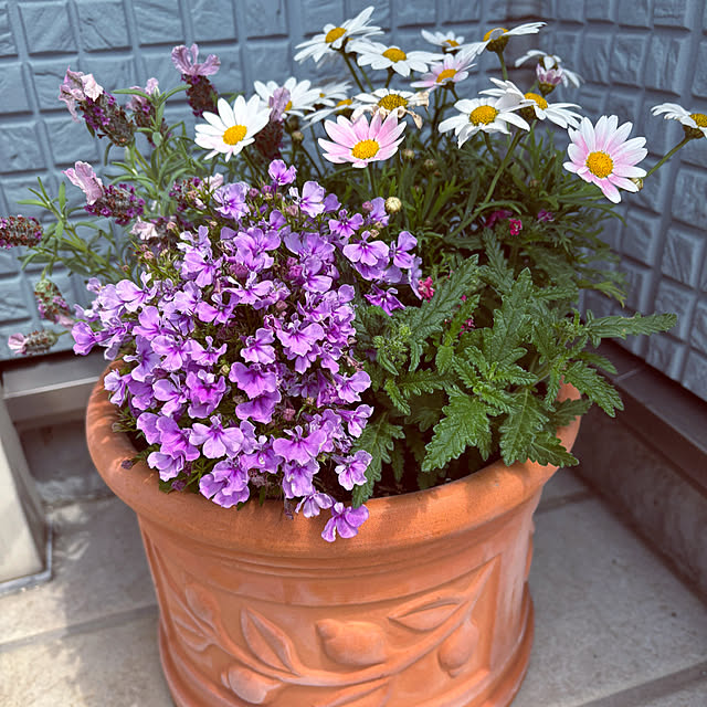 masamasaさんの実例写真