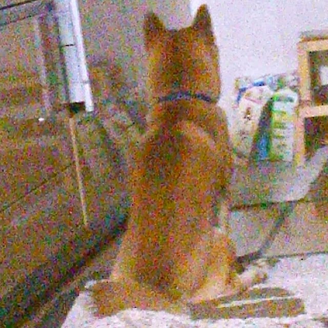 kotaさんの実例写真