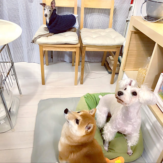 suzyさんの実例写真