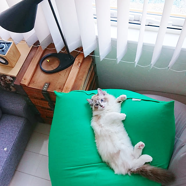 nonononakaさんの実例写真
