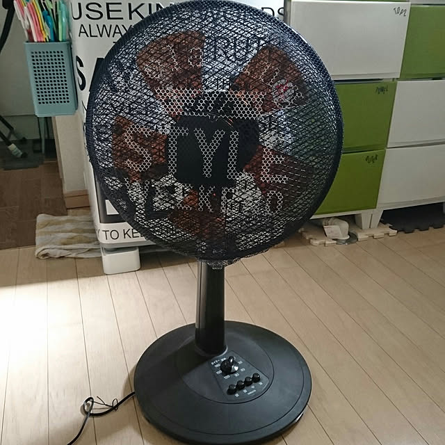 fris67さんの実例写真