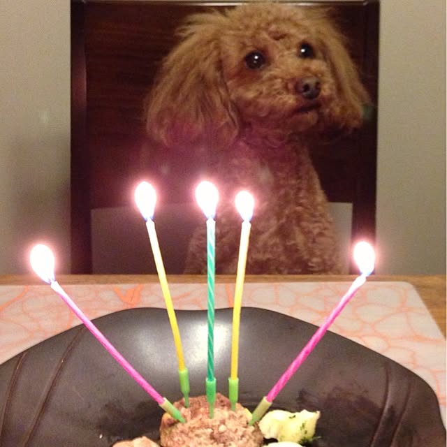 simbaさんの実例写真