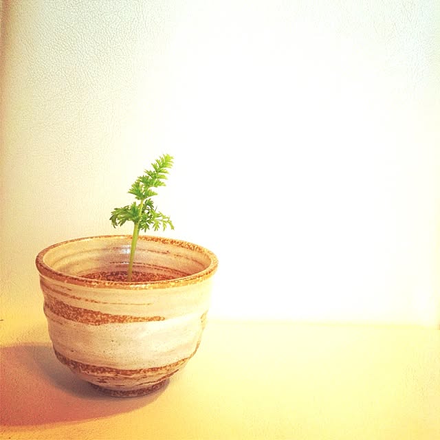 cyokotaroさんの実例写真