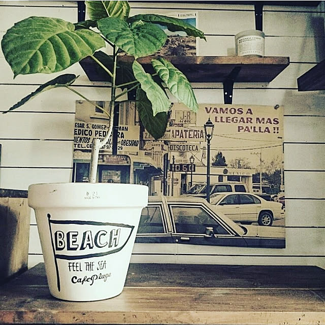 cafe-plageさんの実例写真