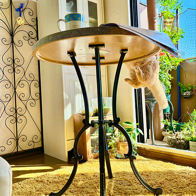 naokoさんの部屋