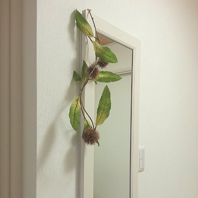 naoさんの実例写真