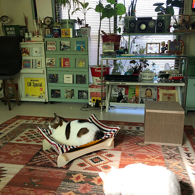 arayanさんの実例写真