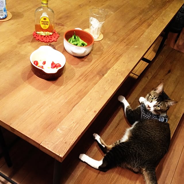 waronyagoさんの実例写真