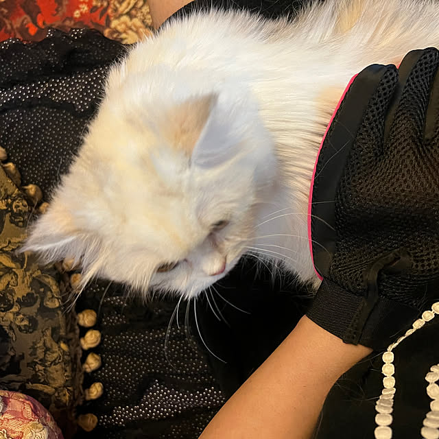 AYUKOさんの部屋