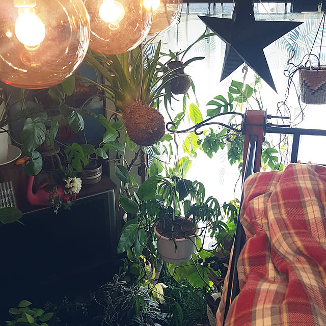 GreenHomeさんの実例写真