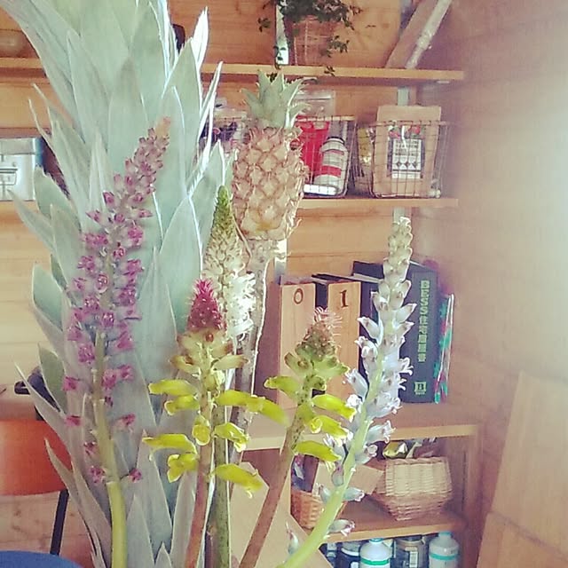 aさんの実例写真