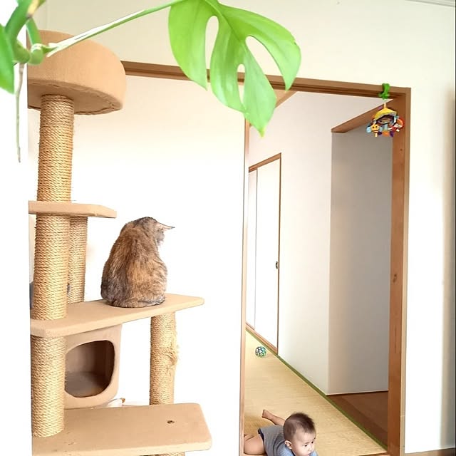 ginsacさんの実例写真