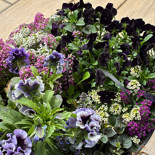 romiromiさんの部屋