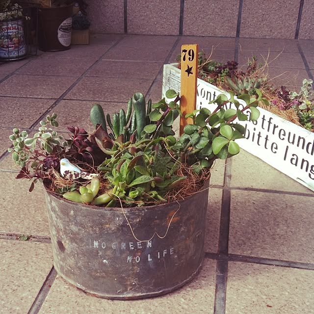 mintさんの実例写真