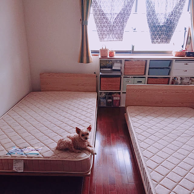 kikiさんの実例写真