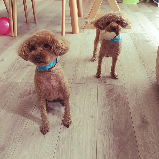 yueさんの実例写真