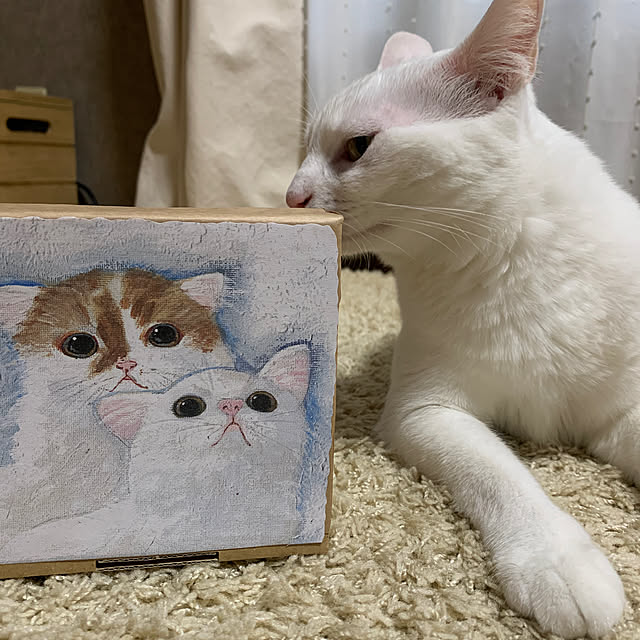 keiさんの実例写真