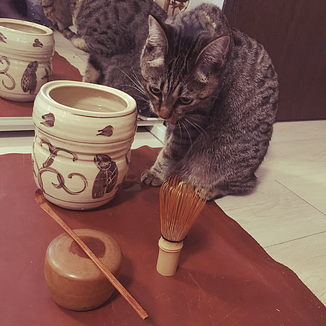 Mさんの実例写真