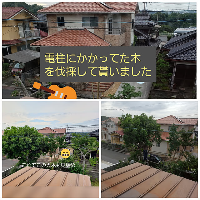 kumiさんの実例写真