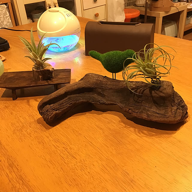 kou-kitiさんの実例写真