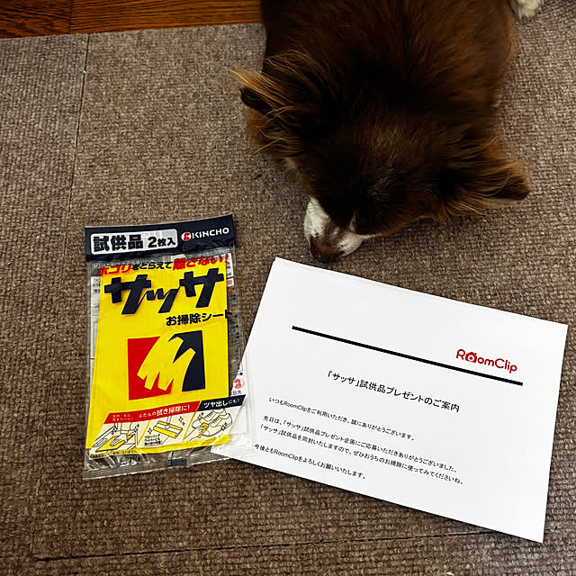chIoeさんの部屋