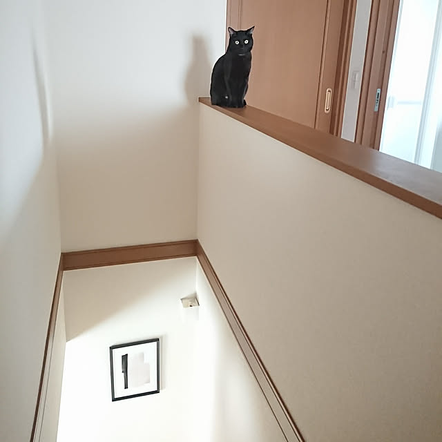 maikyさんの実例写真