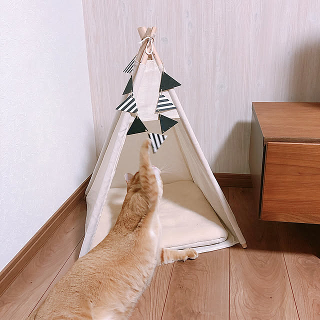 reo..m.aさんの実例写真