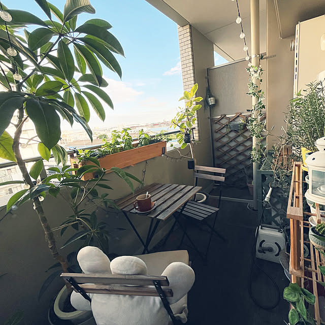 a_san622さんの実例写真
