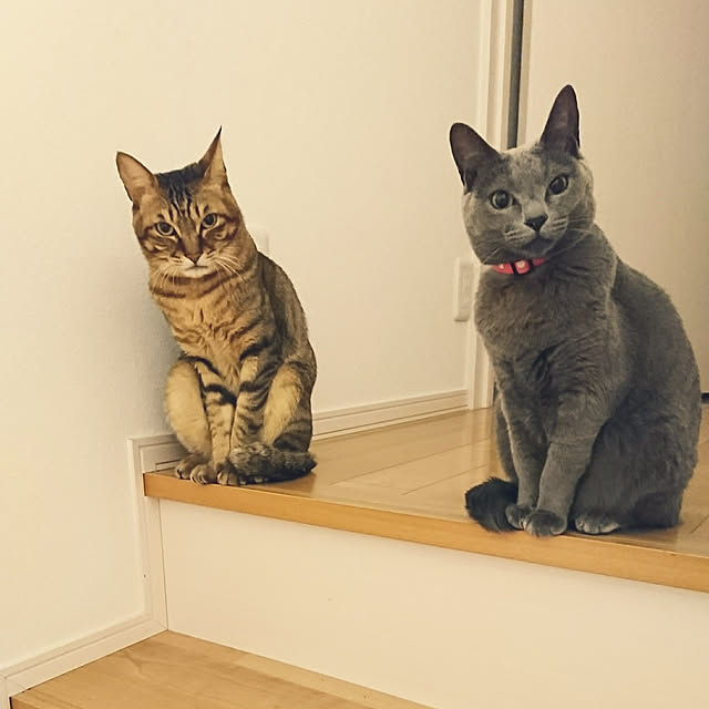 yumikanaさんの実例写真
