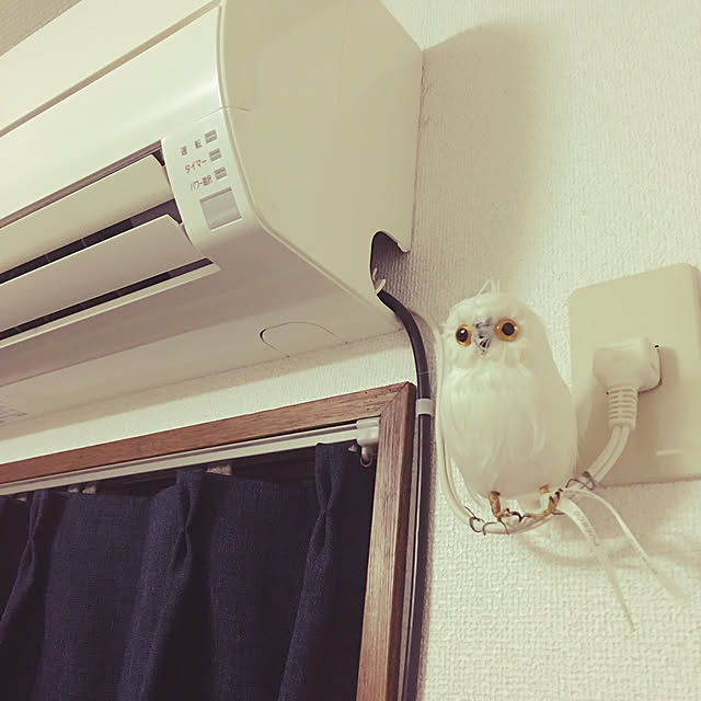 anznmfさんの実例写真