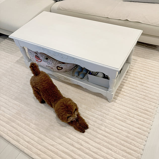 michimichiさんの部屋