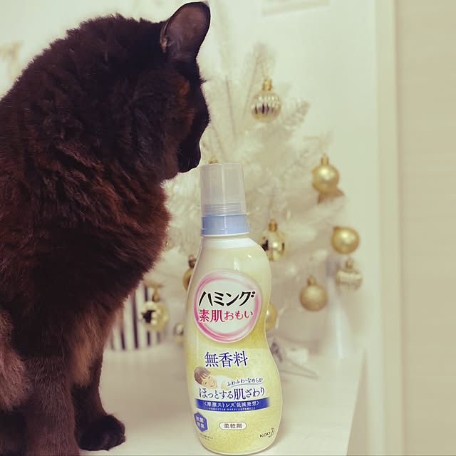 akihcclipさんの実例写真