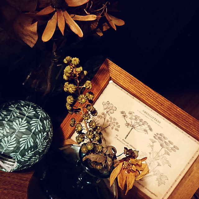 kanonさんの実例写真