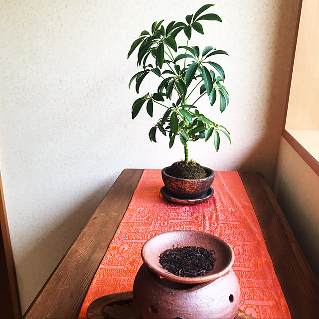 mikan161さんの実例写真