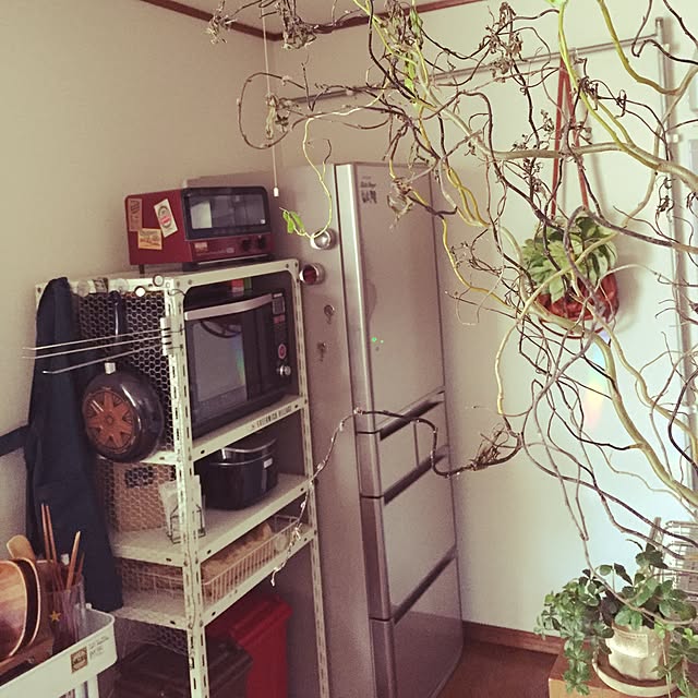 pkazuさんの実例写真