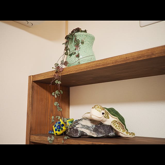 kazumasaさんの実例写真