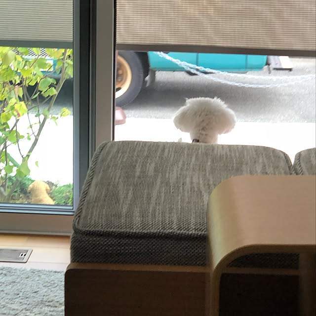 makoranさんの実例写真