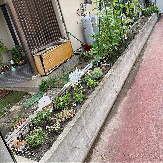 cecil..さんの実例写真