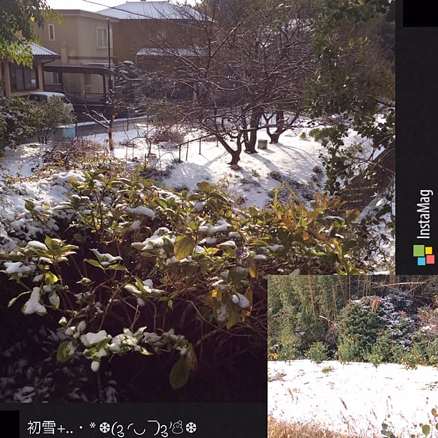 20rose_mamiさんの実例写真
