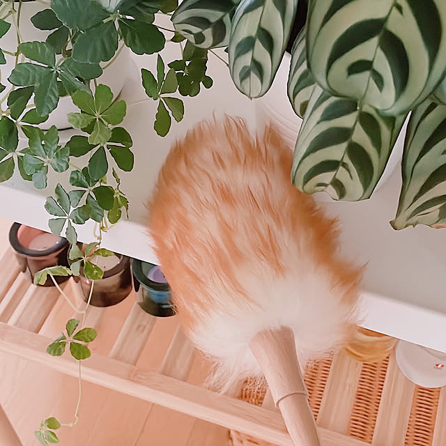 milkcocoaさんの実例写真
