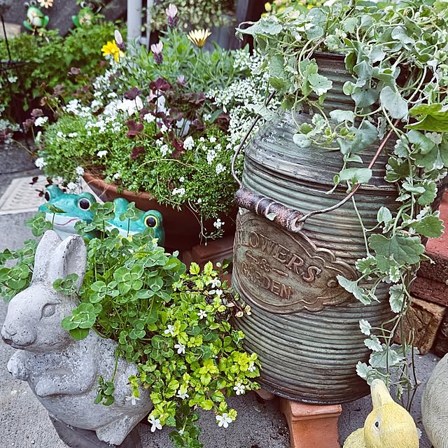 mocomocoさんの部屋