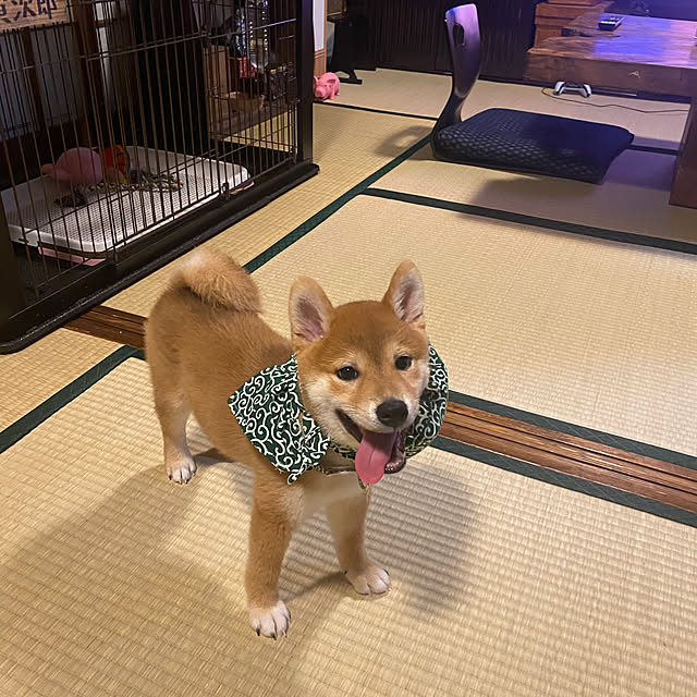 masato.mikiさんの実例写真
