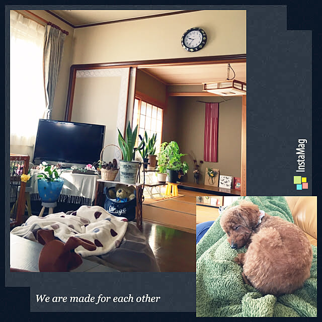 MIYUさんの実例写真